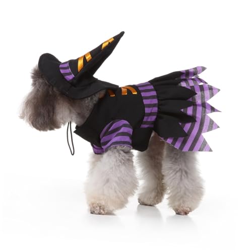 Disfraz de bruja para perro talla L Toddmomy Halloween miniatura 4