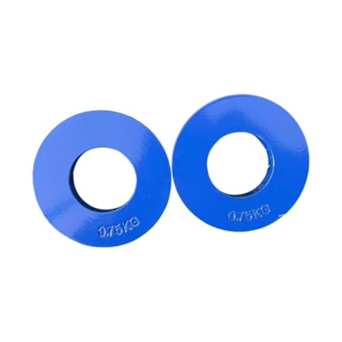 Colaxi 2Pcs Steel Fractional Weight Plates Add-on Change Weight Plate Portable Barbell Weights for Micro Loading Fitness Enthusiasts, Blue, 0.75kg