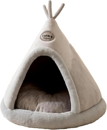 LumoLightLxbh eg ~ ybgxbh eBs[ 􂦂 ybgpQ LbgnEX p ^ LnEX xbh nEX ybgnEX ~  Q  NbVt ybgpi (O[,XL)