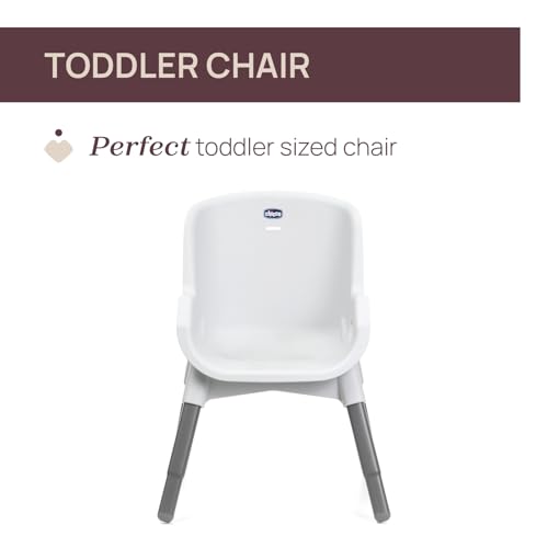 Image of Chicco Zest Highchair (Moon Grey) |4-in-1 Multi-Use highchair | 6 Months up to 27 kg (7 Years) | Ultra-Lightweight 4.5 kg