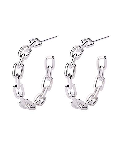 Hoop Earrings for Women - Link Hoop Earrings in 14k Gold/White Gold - Chain Hoop Earrings for Girls?Dia.20mm?