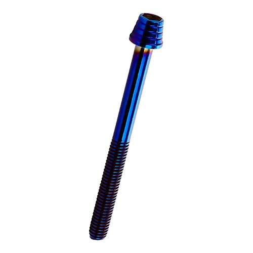 �L���b�v�{���g M6×65mm �e�[�p�[�V�F���w�b�h �X�e�����X�� �`�^���J���[ �J�X�^���{���g 4�{�Z�b�g
