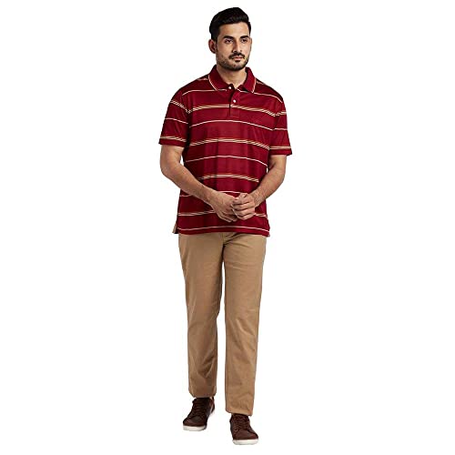 Image of Color Plus Stripes Cotton Regular Fit Mens T-Shirt
