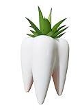 3.93 Inches Tall Tooth Shaped Ceramic Succulent Cactus Vase Flower Pot (Plants Not Included)