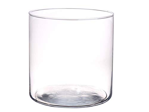 innaGLAS Vase Cylindre Sanny en Verre, Transparent, 19cm, Ø19cm - Vase à Fleurs/Photophore
