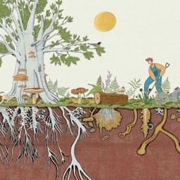 La cura della terra cover art