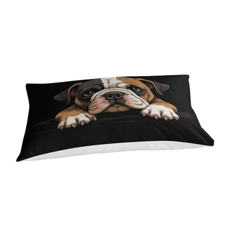 Linge de lit microfibre super douce 3D taies d'oreiller