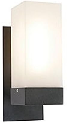 Chenton Outdoor Outside Modern Wall Light Lamp Shade for Garden Patio 13W