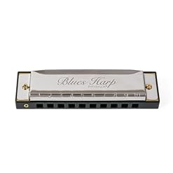 Professional Blues Harp Diatonic Harmonica, 10-Hole C Key, Sleek Design with Protective Case for Professional Player & Beginner, Gift for Family, Friends, Adult, Students - Les Beatles, Paul McCartney, John Lennon, RIngo Starr, George Harrison Professional Blues Harp Diatonic Harmonica, 10-Hole C Key, Sleek Design with Protective Case for Professional Player & Beginner, Gift for Family, Friends, Adult, Students – Image 2