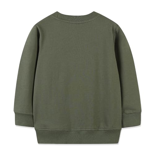 Toddler Boy Sweatshirt Kid Long Sleeve Crewneck Pullover Cotton Tops Cartoon Casual Shirts2