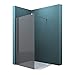 Produktbild Mai & Mai 120x200cm 8mm grauglas Walk-In Duschwand Duschabtrennung Stabilisator 80-120cm ESG-Sicherheitsglas mit Nanobeschichtung BRAM1 Bremen1VG