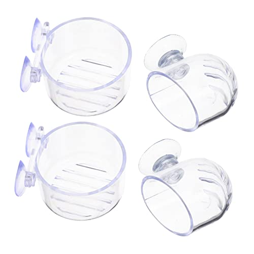 balacoo Acrylic Aquarium Plant Holder Bloodworm Storage Container with Bowl Suction Cup
