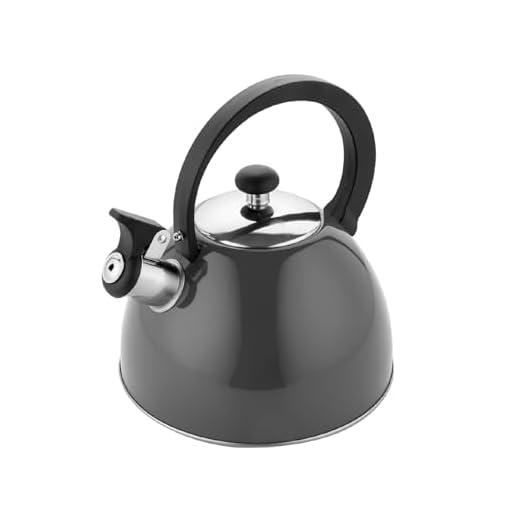 FLORINA Hervidor de Agua y Té de Acero Inoxidable (2 L) | A Prueba de Arañazos | Para Estufa de Inducción, Gas y Eléctrica | Color: Gris