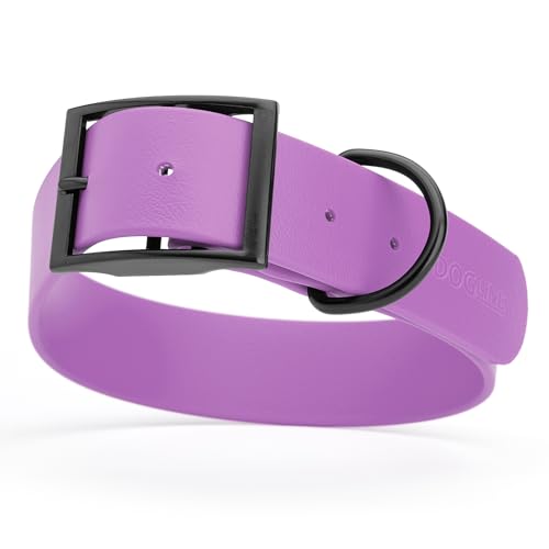 Image of Dogline Biothane Waterproof Dog Collar Strong Coated Nylon Webbing with Black Hardware Odor- Proof for Easy Care Easy to Clean High Performance Fits Small Medium or Large Dogs, Amethyst Purple
