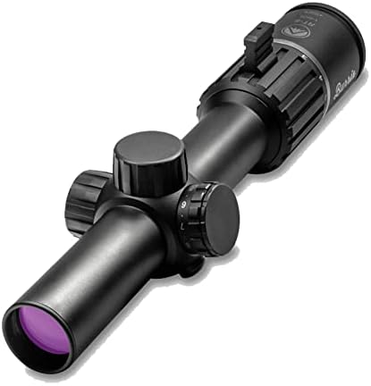 Burris Optics LPVO RT-6 1-6x24mm