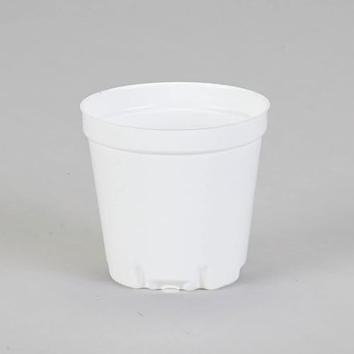 Carolina Plant Pot, 3.5"