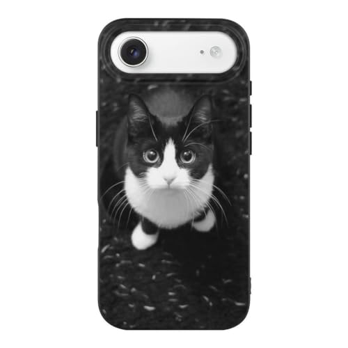 iPhone17Air�p �P�[�X �L ������L����� �f�B�A�[�A�j�}���Y �A�C�t�H��17Air�p �P�[�X TPU �S�ʕی� �X�}�z�P�[�X ���^ �ϏՌ� �C�菝�h�~ �y�� �g�уJ�o�[ �l�C Case [���s�A���i]
