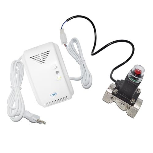 Kit sensor et électrovanne PNI Safe House 200 3/4 de haute précision - 4
