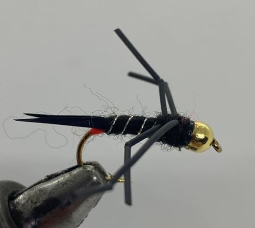 One Dozen (12) - Tungsten Beadhead Salmonfly - Nymph 10
