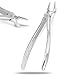 PC EXTRACTING Forceps #52 English Pattern Dental Instruments