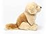 Teddy Hermann 91955 Hund Golden Retriever 25 cm, sitzend, Kuscheltier, Plüschtier mit recycelter Füllung