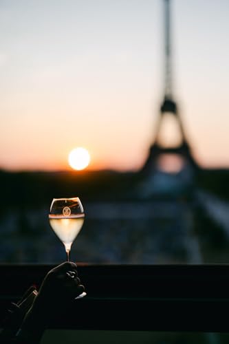 Louis Roederer Champagne Starck Brut Nature Rosé Champagner (1 x 0.75 l) (Packung mit 6)