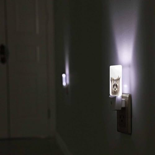 Image of LED Night Light,Funny Cute Raccoon LED Night Light Plug into Wall with Dusk to Dawn Light Sensor White Energy Efficient Nightlight for Bedroom Bathroom Hallway Living Room Kitchen