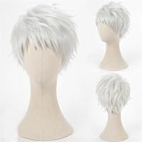 Amazon.co.jp: 【Azuiblc】ツイステ シルバー コスプレ ウィッグ