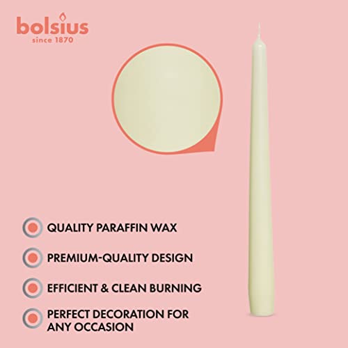 Bolsius 10 Pack Unscented 10 Inch Dinner Candle Set thumb #8
