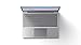 Microsoft Surface Laptop Go - Ordenador portátil de 12.4" (Intel Core i5-1035G1,...