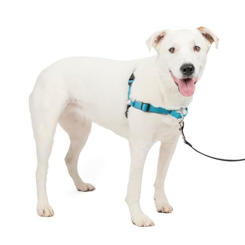 PetSafe Easy Walk Deluxe Hundegeschirr M/L blau, 1,8 m Leine, kein Ziehen, Tragekomfort, für mittelgroße/große Hunde