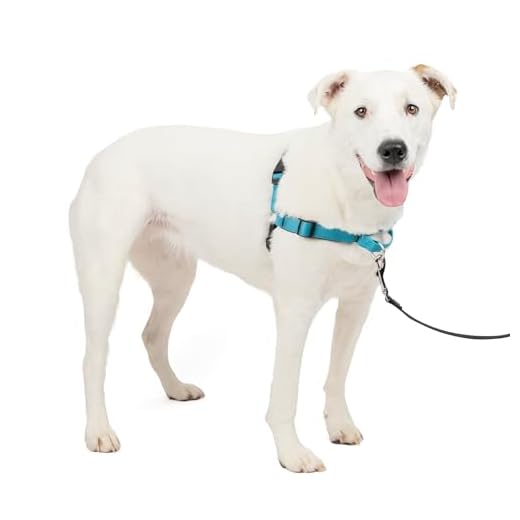 PetSafe Easy Walk Deluxe Anti-Zieh-Geschirr, Verringert Würgen und Husten, Mit Reflektoren ausgestattet, Größe M/L, Blau 3 PetSafe Easy Walk Deluxe Anti-Zieh-Geschirr, Verringert Würgen und Husten, Mit Reflektoren ausgestattet, Größe M/L, Blau