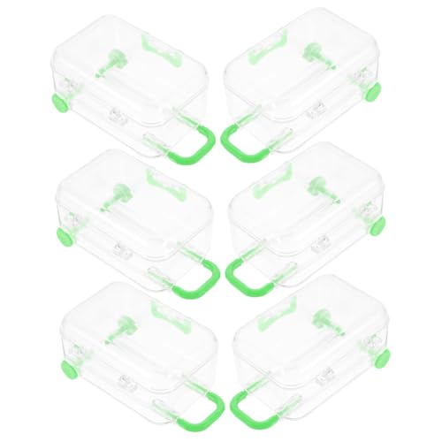 DECORNIJIA 12 O[X[cP[X`[{bNX ϋvvX`bNLfBP[X p[eB[fU[gpC^N