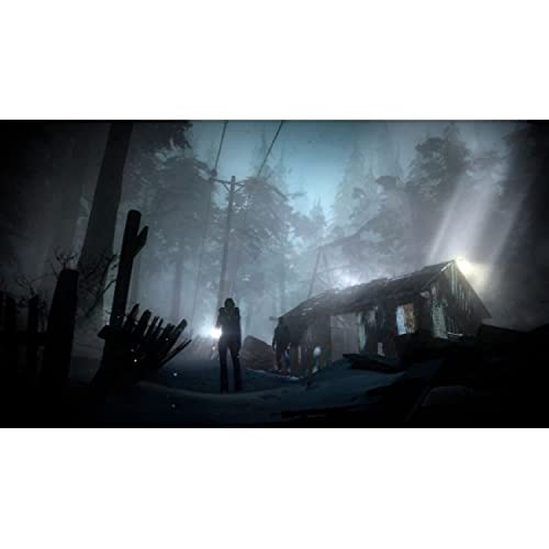 Ps4 Until Dawn - vue 4