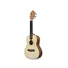 APC Instruments BR110 Braziliaans cavaquinho