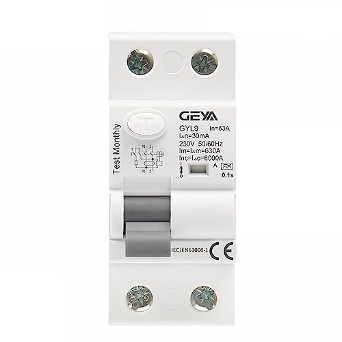 Disjoncteur différentiel type GYL9 2P 40A 100mA AC pour rénovation tableau électrique