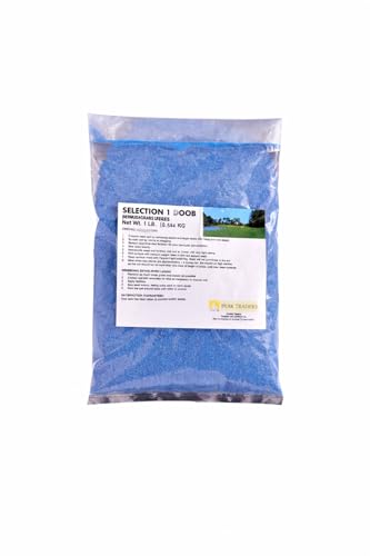 Image of Peak Traders Selection 1 Doob Grass Seeds, 1 LB (0.454 KG), Blue Coated with Excellent Turf Quality