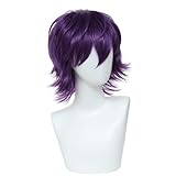 Kavsni Unisex Short Straight Cosplay Hair Wig Women Mens Male Fashion Anime Party Fancy Style Costume Wigs(Purple)