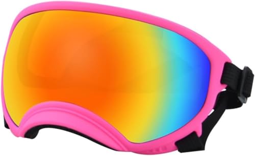 ybgOX pTOX ^E^pTOX x@ ~^[pS[O h AEghA XL[ UVOX \ȃSohtȃ\tgt[ (M,E)