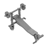 NUOBESTY Kit De Mini Gimnasio En Miniatura para Casa De Muñecas Modelo De Fitness Accesorios Deportivos Juego De Miniequipos De Fitness Realistas