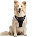 Rabbitgoo Dog Harness No-Pull Pet Harness Adjustable Outdoor Pet Vest 3M Reflective Oxford Material Vest for Dogs Easy Control for Small Medium Large Dogs (Black, M)