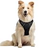 rabbitgoo Dog Harness, No Pull Medium Sized with 2 Leash Clips, Pet Vest