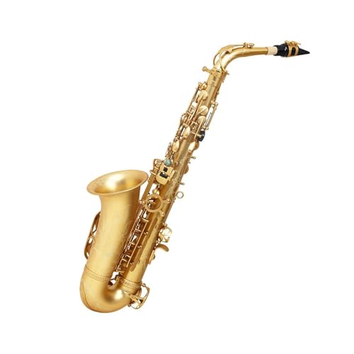 SҗpTbNX S[f AgTbNX E ^JL[ {bNX Xgbv [hp[ct