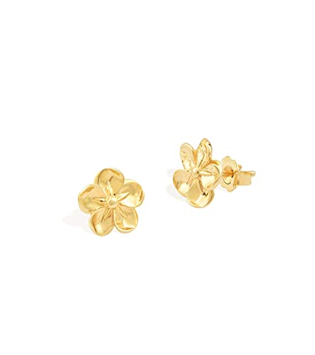 Jewelry Atelier Gold Filled Stud & Dangle Earrings Collection - 14K Solid Yellow Gold Filled Stylish Earrings for Women with Different Occasions & Styles