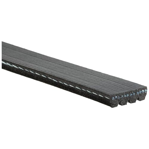 Courroie Gates K040289SF pour éliminer les sifflements moteur et pannes