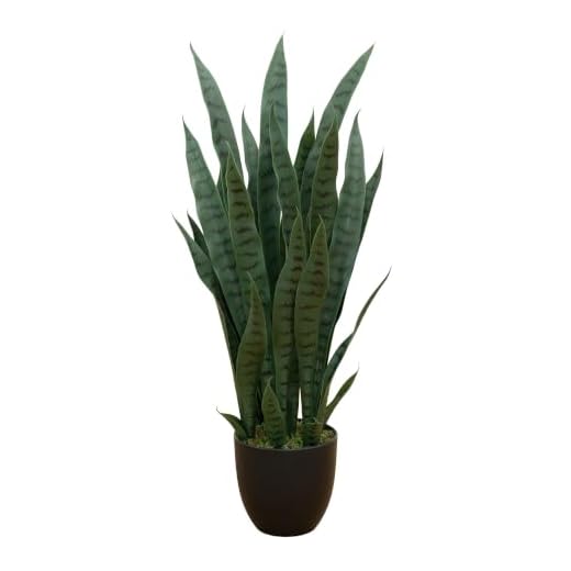 Lifelike Sansevieria in Decorative Planter