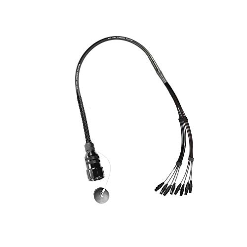 Elite Core Perseus PERS8-AMP-FI 8 CH 3' Amphenol MP-41 Multi-Pin to XLR Female Fan in