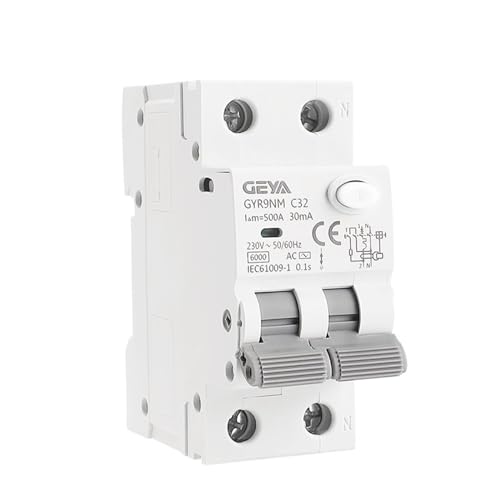 Disjoncteur 1P + N 40A 6KA pour éviter les pannes dues aux surcharges
