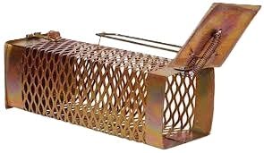 Heavy Duty Rat Trap Cage | Reusable Humane Live Catch Mouse Trap | Metal Rodent Catcher for Home, /Kitchen, Office, Warehouse & Garden | Safe No Poison Rat & Mouse Control |-image-28