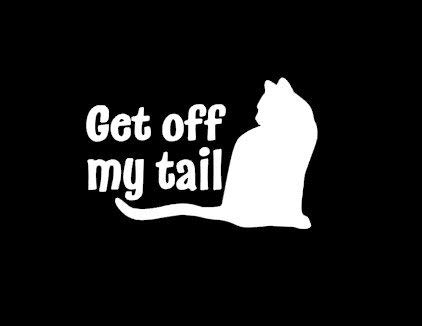 Get Off My Tail Cat Funny Decal Vinyl Sticker|Cars Trucks ...